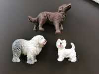 Schleich Hunde Raritäten 1995, Irish Setter, Bobtail, Terrier Nordrhein-Westfalen - Geldern Vorschau