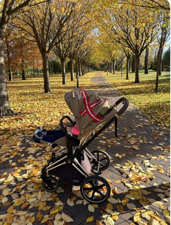 Kinderwagen Cybex Platinum Priam Roségold One Love von Karolina K in Bremen