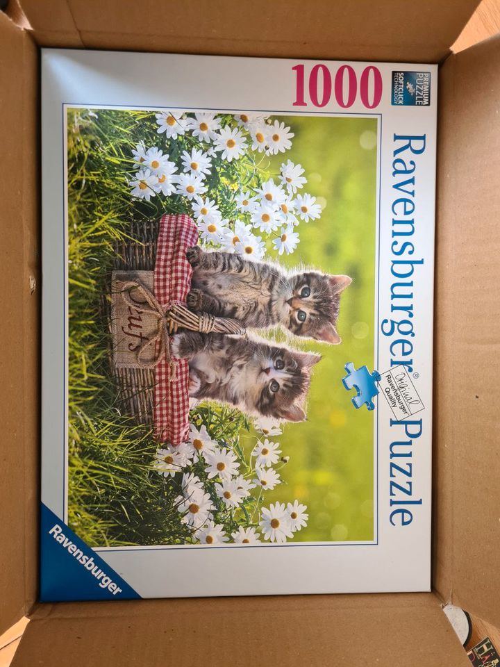Puzzle mit Babykatzen 1000 Teile in Rostock
