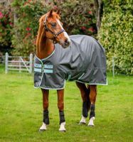 Reduziert Regendecke Horseware Amigo Hero 0g, 50g, Gr. 115,125,130,140,145,155,160 robust Ripstop,winddicht,wasserdicht,Reitsport Neu,günstig Pferdedecke,Stalldecke,AAPA90,AAPA91Top Qualität Nordrhein-Westfalen - Kempen Vorschau