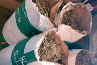 Hasen Mist - Kaninchen Mist - Bio Dünger für Hochbeete Saarland - Heusweiler Vorschau