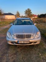 Mercedes Benz W211 E klasse 220 CDI Berlin - Hohenschönhausen Vorschau