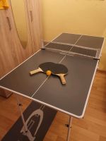 Mini Tischtennisplatte / Ping Pong Platte 20 Euro für 3 Tage Dresden - Striesen-Süd Vorschau