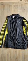 Adidas Jacke Training Jungen Größe 176 Hessen - Stadtallendorf Vorschau