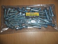 Suzuki VS 1400 - *80 Motor Schrauben Set 68* Normteile Satz NEU Nordrhein-Westfalen - Werdohl Vorschau