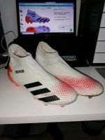 Adidas Predator 20.3 Laceless FG/AG Uniforia Kickschuhe Baden-Württemberg - Titisee-Neustadt Vorschau