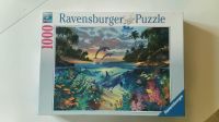Puzzle Ravensburger Korallenbucht 1000 Teile Sachsen - Radebeul Vorschau