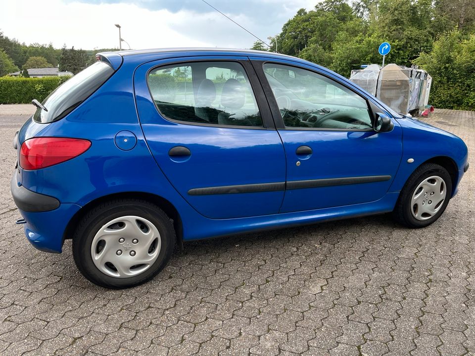 Peugeot 206 Klimaanlage in Neunkirchen