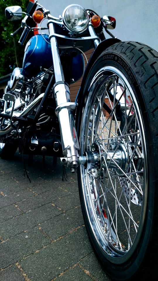 Harley Davidson Softail Chopper Custom in Eilenburg