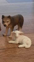 Schleich Tiere Wolf Schaf Lamm Schleswig-Holstein - Tarp Vorschau