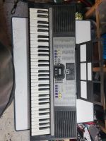 Keybord/E-piano/Profi Music Sachsen-Anhalt - Kalbe (Milde) Vorschau