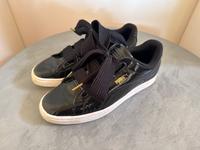 Puma Basket Bayern - Wasserburg Vorschau