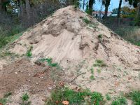 Sand, Erdaushub gelb und braun_ mind. 1 m³ Schleswig-Holstein - Schmalfeld Vorschau