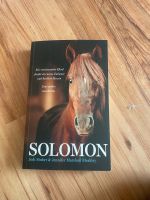 Solomon „Ein vereinsamtes Pferd findet ein neues Zuhause..“ Bayern - Aindling Vorschau