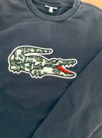 Lacoste Sweater Pulli Gr. 176 Essen - Stoppenberg Vorschau