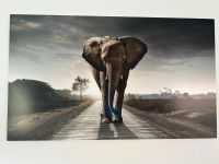 Leinwand Elefant Baden-Württemberg - Dettingen an der Erms Vorschau