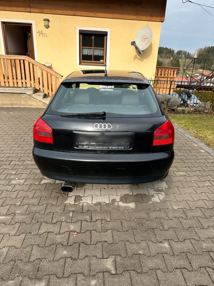 Audi a3 Bastler Fahrzeug in Waging am See