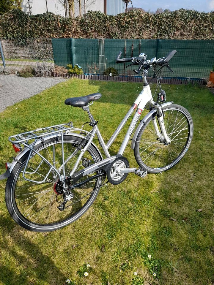 Pegasus FAHRRAD in Brieskow-Finkenheerd