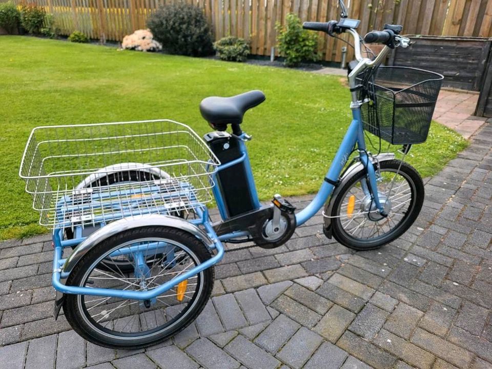 Eureka E-Bike Dreirad mit Kippbaren Rahmen in Korschenbroich