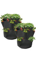 Erdbeer Pflanzbeutel strawberry planting bag Niedersachsen - Braunschweig Vorschau