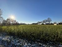 Viel Platz für die Familie + über 11.000 m² Ackerland/ Ländliches Wohnen in Rietberg-Westerwiehe Nordrhein-Westfalen - Rietberg Vorschau