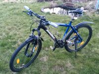 Mountainbike Hessen - Schotten Vorschau