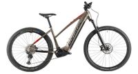 Corratec E-MTB X-Vert Pro Trapez Sport RH 54 UVP 4499€ Bayern - Bad Grönenbach Vorschau