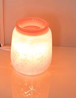 Scentsy Duftlampe + Bars Nordrhein-Westfalen - Schermbeck Vorschau