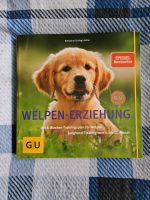 Welpen Erziehung 8 Wochen Trainingsplan + Junghund-Training Nordrhein-Westfalen - Castrop-Rauxel Vorschau