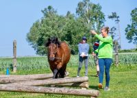 EXTREME TRAIL, Training f. Pferde & Mensch, Horsemenship 08.06. Bayern - Eschlkam Vorschau