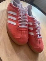 Neue Gazelle Berlin - Neukölln Vorschau