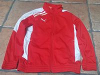 Puma Sportjacke Kinder Gr. 140 Nordrhein-Westfalen - Witten Vorschau