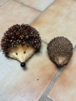 1  großer Igel aus Naturmaterialien u. 1 kleiner Igel Niedersachsen - Wolfenbüttel Vorschau