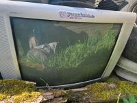 Tv /alt röhren TV Fernseher ca 7 oder 8 Niedersachsen - Lachendorf Vorschau