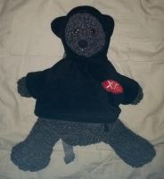 Teddy Rucksack Plüschtier Dresden - Prohlis-Nord Vorschau