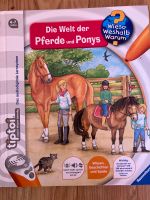 Tiptoi-Buch: Die Welt der Pferde und Ponys Brandenburg - Stahnsdorf Vorschau