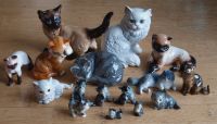 Sammlung von Goebel Katzen 16 verschiedene 1980er und 1990er Bayern - Markt Erlbach Vorschau