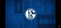 VFL Osnabrück vs Schalke04 Tickets Schleswig-Holstein - Schlesen Vorschau