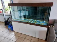 Aquarium 180x60x80 komplett + Zubehör Nordrhein-Westfalen - Oerlinghausen Vorschau