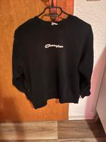 Champion Pullover Niedersachsen - Leer (Ostfriesland) Vorschau