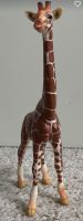 Speil - Giraffe Edewecht - Edewecht - Friedrichsfehn Vorschau