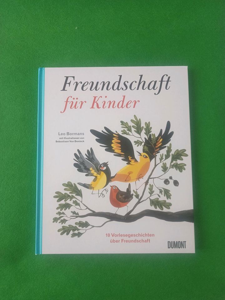 Buch Freundschaft für Kinder - Vorlesebuch -wie neu- in Schlema