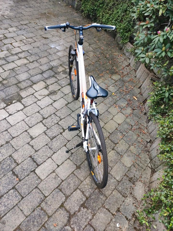 Damen Fahrrad 19 Zoll in Netphen