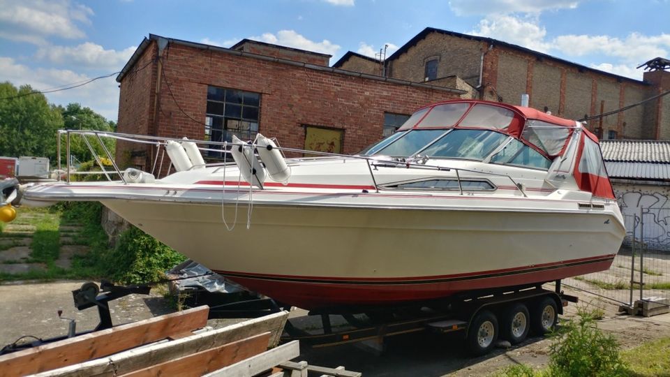 SeaRay 280 Sundancer in Eberswalde