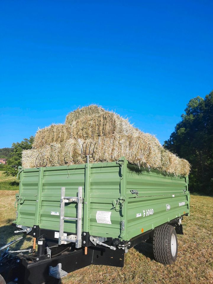 Heu, Heuballen, HD-Ballen Ernte 2023 in Calw