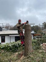 Baumfällung Niedersachsen - Neu Wulmstorf Vorschau