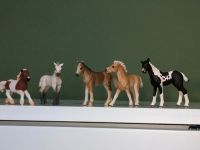 Schleich Pferde West - Griesheim Vorschau