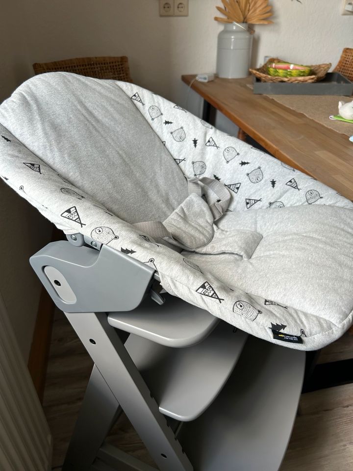 Hauck Alpha Premium Babywippe Bouncer Neugeborenenaufsatz Nordic in Freital