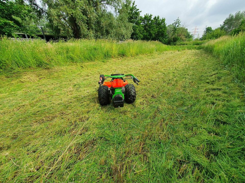 Garten- Landschaftspflege Heckenschnitt Mäharbeiten Freischneider in Hamburg