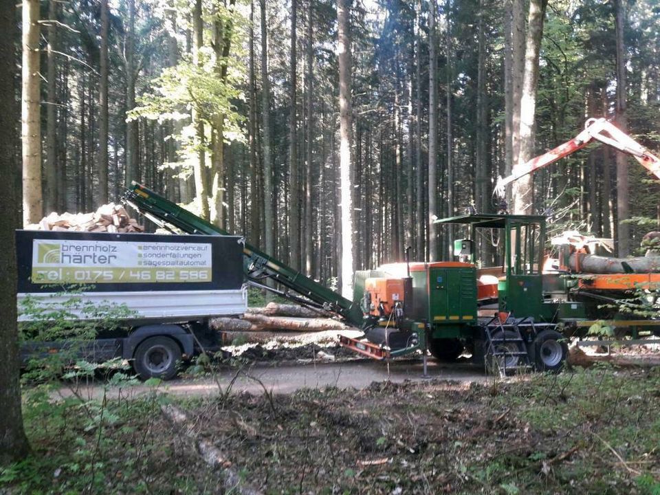 Lohnspalten Posch Vario K- 650 Sägespaltautomat in Meßstetten